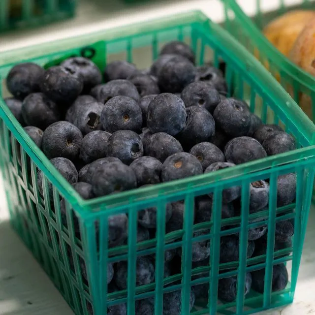 thumbnail for publication: Consumer Preferences for Florida-Grown Blueberries Part 2: Locally Grown Blueberries in the Marketplace—Insights into Florida Consumers' Awareness of Brand Origin and Purchasing Behavior